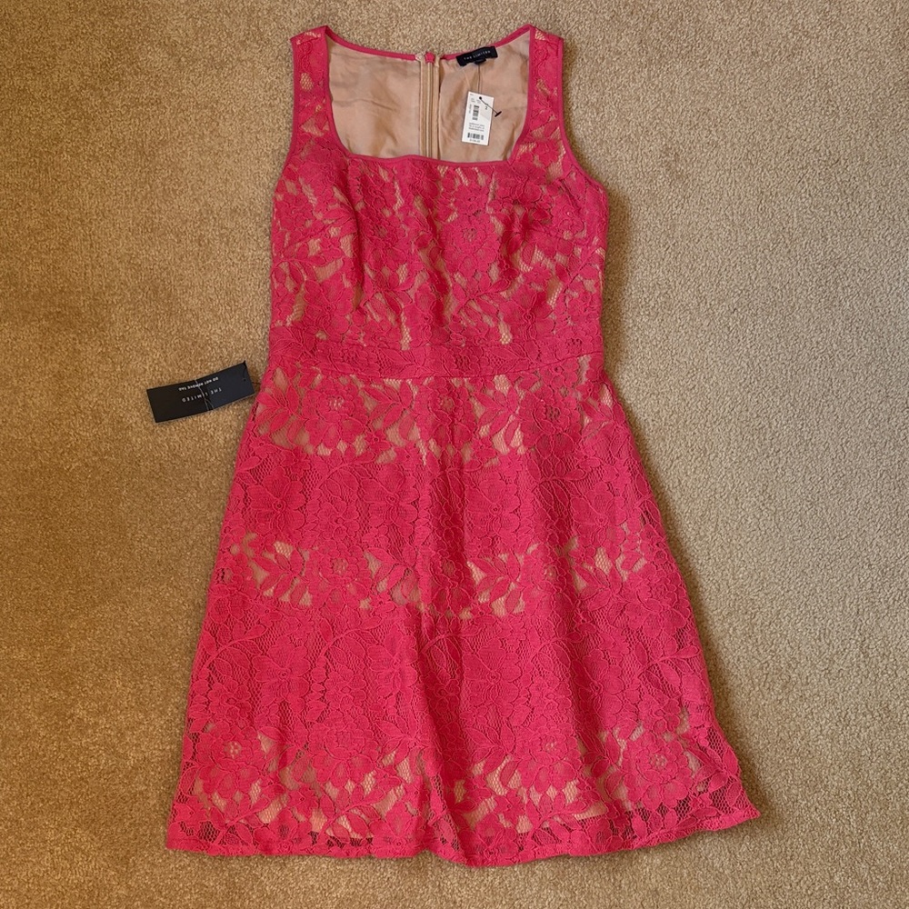 The Limited Pink Lace Mini Dress
